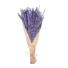 CPAP store usa dried lavender flowers bedroom shower sleep apnea png