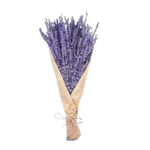 CPAP store usa dried lavender flowers bedroom shower sleep apnea png
