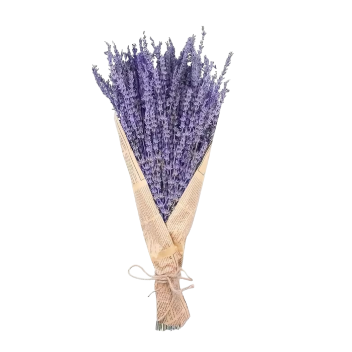 CPAP store usa dried lavender flowers bedroom shower sleep apnea png